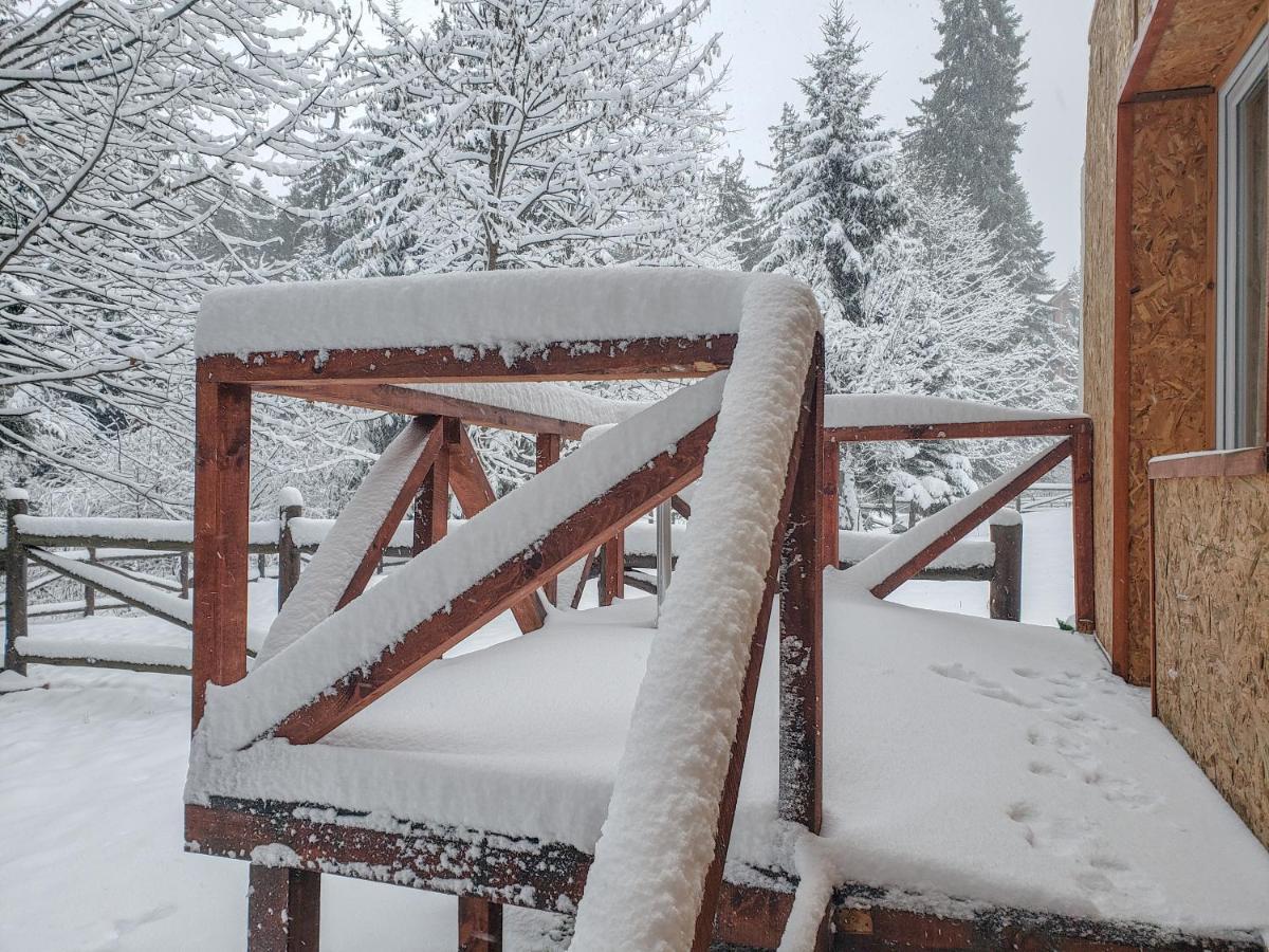 Guest Rooms- Klepalski House Borovets Exteriör bild