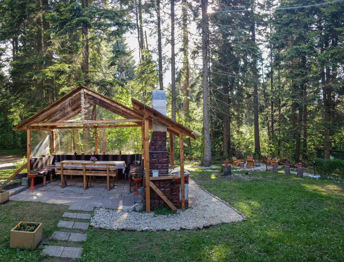 Guest Rooms- Klepalski House Borovets Exteriör bild